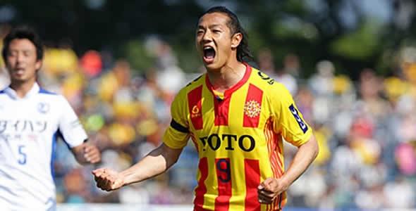 北九州向日葵为什么这么厉害,北九州向日葵最新预测