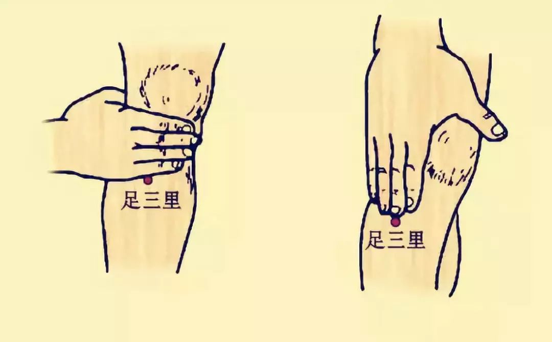 经络通畅百病消全文,经络通气血畅百病消