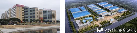 布谷鸟科技头条,布谷鸟科技官网