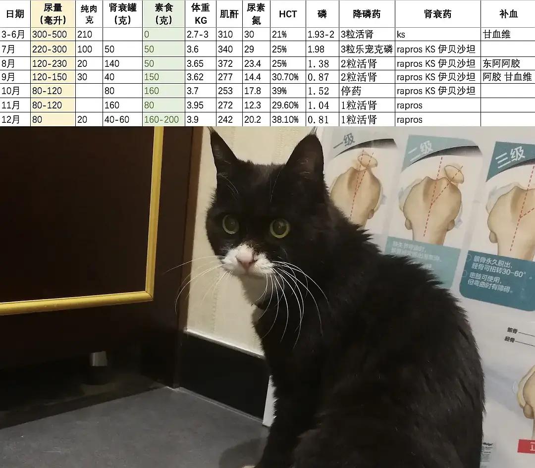 糖尿病患者胆囊炎胰腺炎同时出现,胆囊结石胰腺炎糖尿病