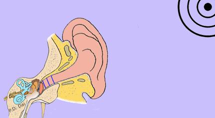 一年级下孩子如何提高成绩,小学一年级听觉理解能力训练