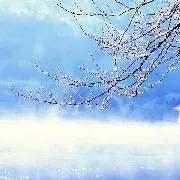 平凡的世界心得体会笔记,读平凡的世界读书笔记