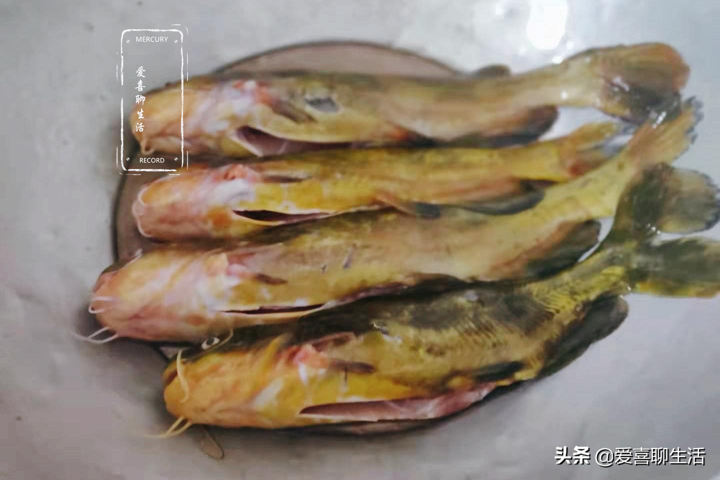 六月这鱼最肥美，营养极高，补脑健脑提高免疫力，老人孩子要多吃