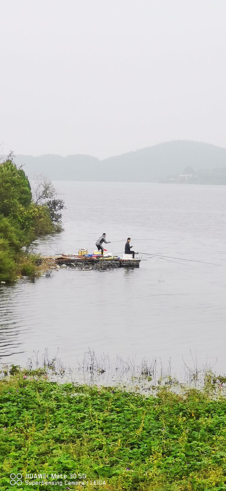 钓鱼作者：王希桥（老树朝阳）