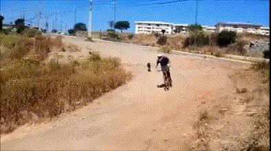 杭州母亲为了保护孩子不被狗狗打,杭州母亲护子遭狗主人暴打