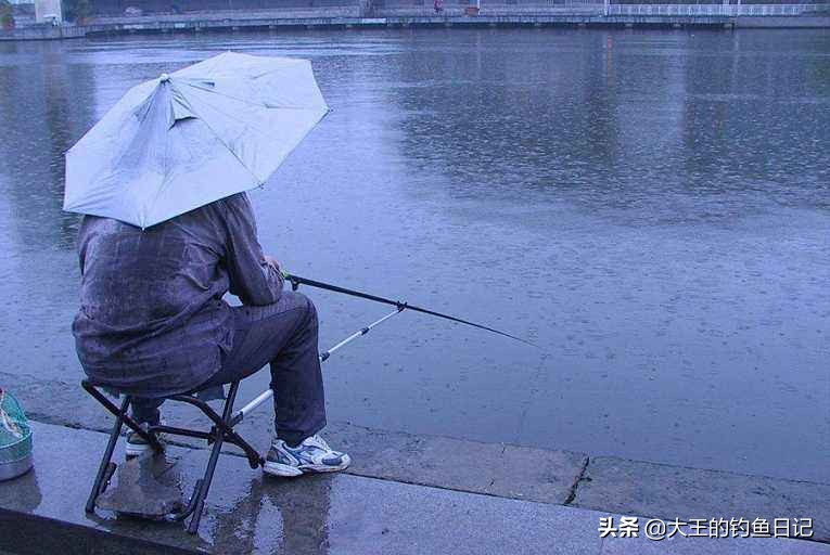 下雨天是不是很好钓鱼,下雨天好钓鱼