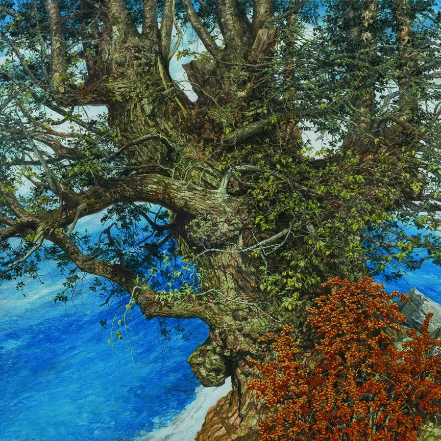 第十三届全国美术作品展油画作品,全国第十一届绘画展油画作品