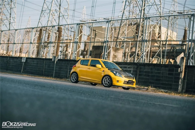 铃木雨燕小乳鸽,雨燕乳鸽