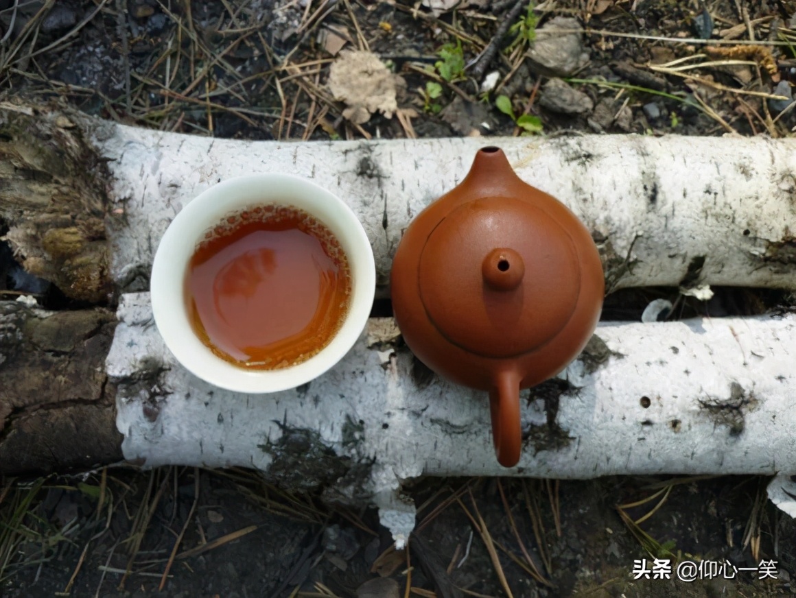 学《破相论》收获：以我所见所遇，生大感恩心