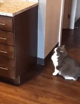 儿子心理有问题怎么办,儿子心理有毛病怎么办