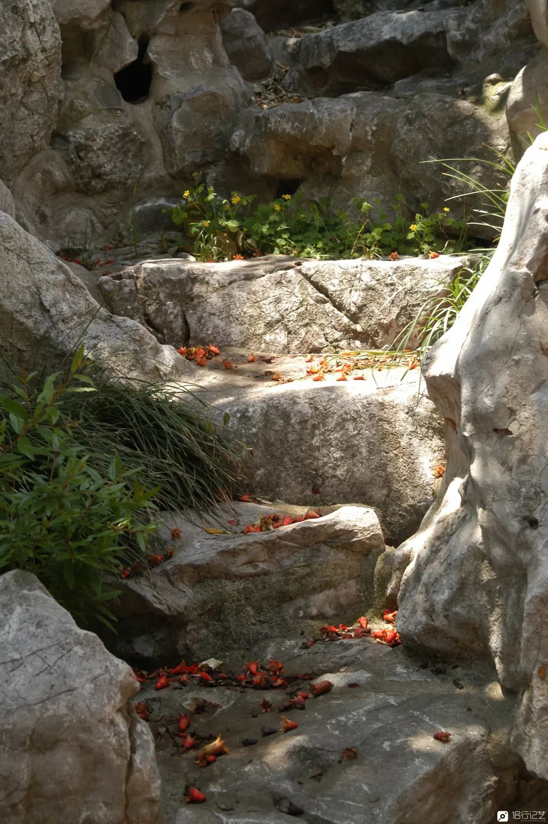 大叔花700万建的花园别墅,太湖石苏州