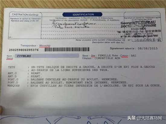 马也有护照？中国、日本的最好辨认，法国居然这么写！