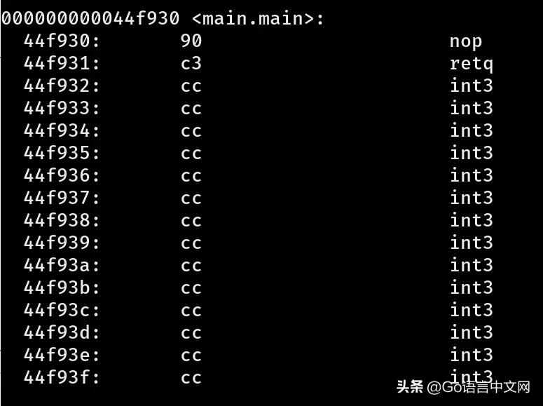 在Golang中使用-w和-s标志