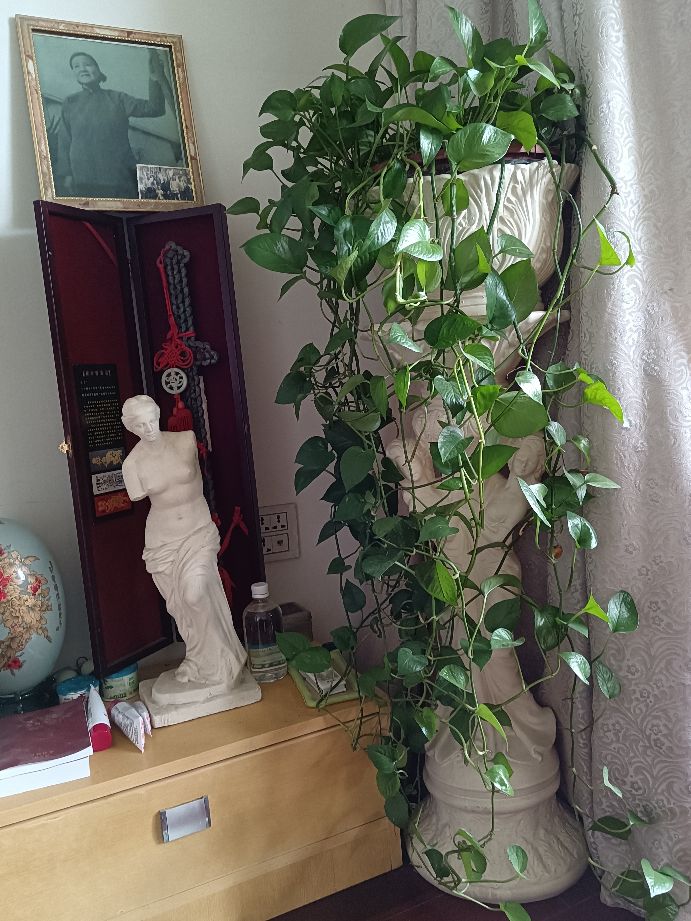 老古文章,老古董文章