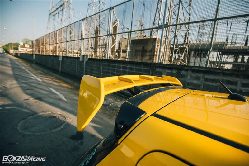 铃木雨燕小乳鸽,雨燕乳鸽