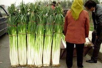 晚上游四方,游四方下联