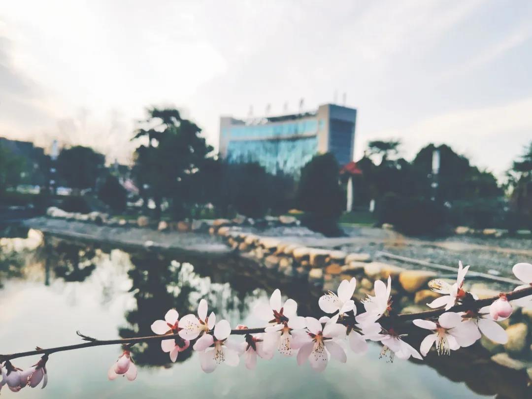 西安最豪华的大学图书馆,最豪华食堂大学