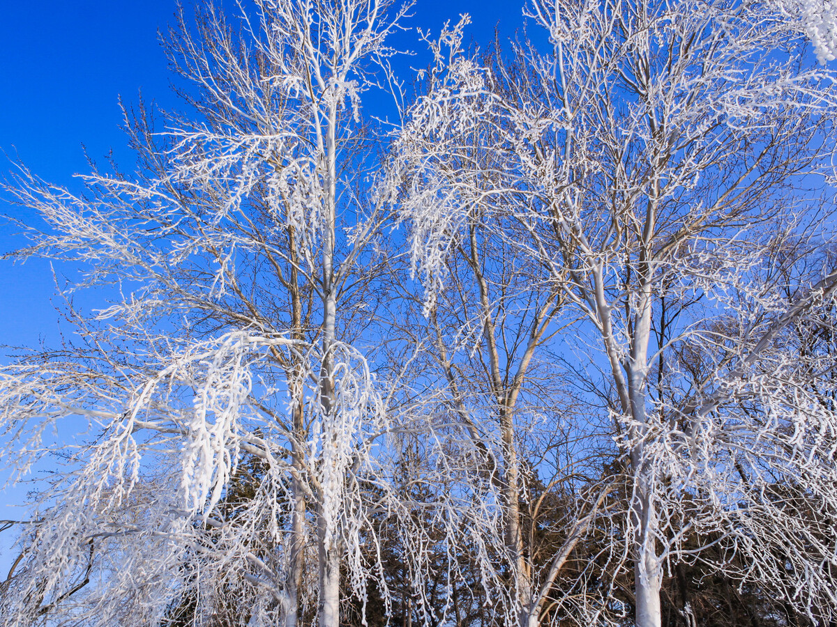 关节痛风湿痛日常怎么调理,关节遇冷