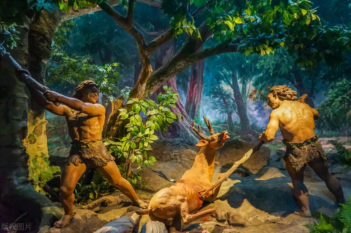 神农尝百草:一个靠药物取得控制权的部落