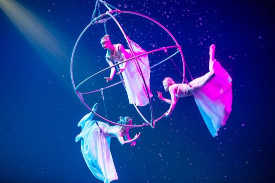 长隆女神月，大马戏低至210元起！