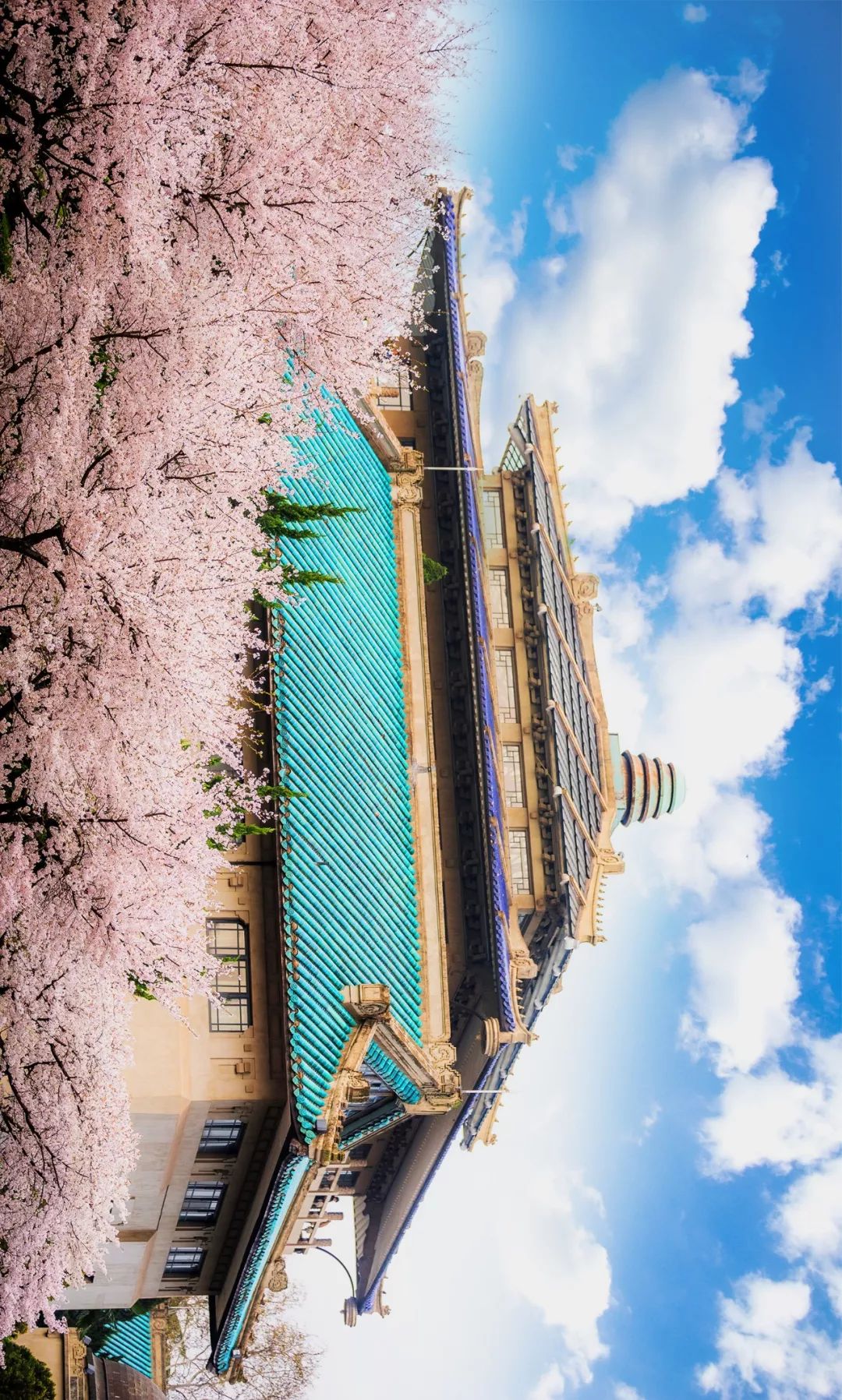 湖北洪湖最美风景,湖北洪湖美景图