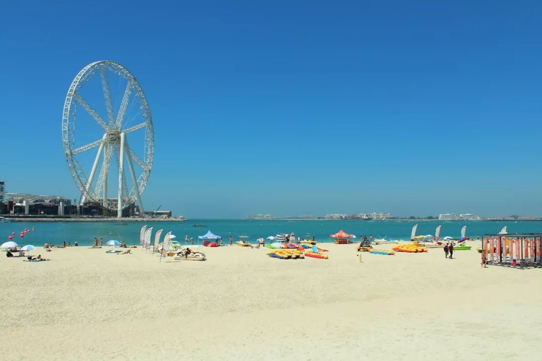 靠捡垃圾成了千亿富翁完整版,捡垃圾变成百万富翁