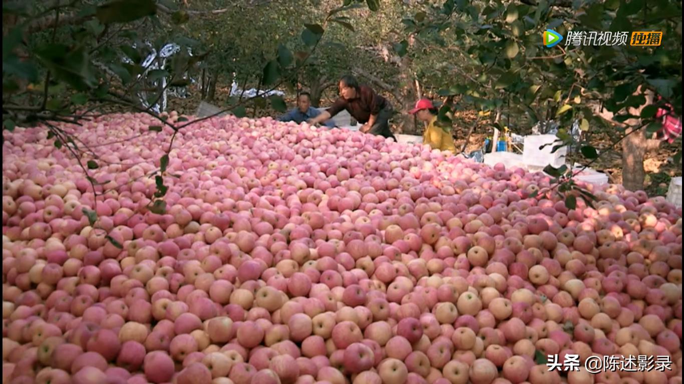 打工是用自己的牛耕别人的田,打工就像拿肉换猪肉吃