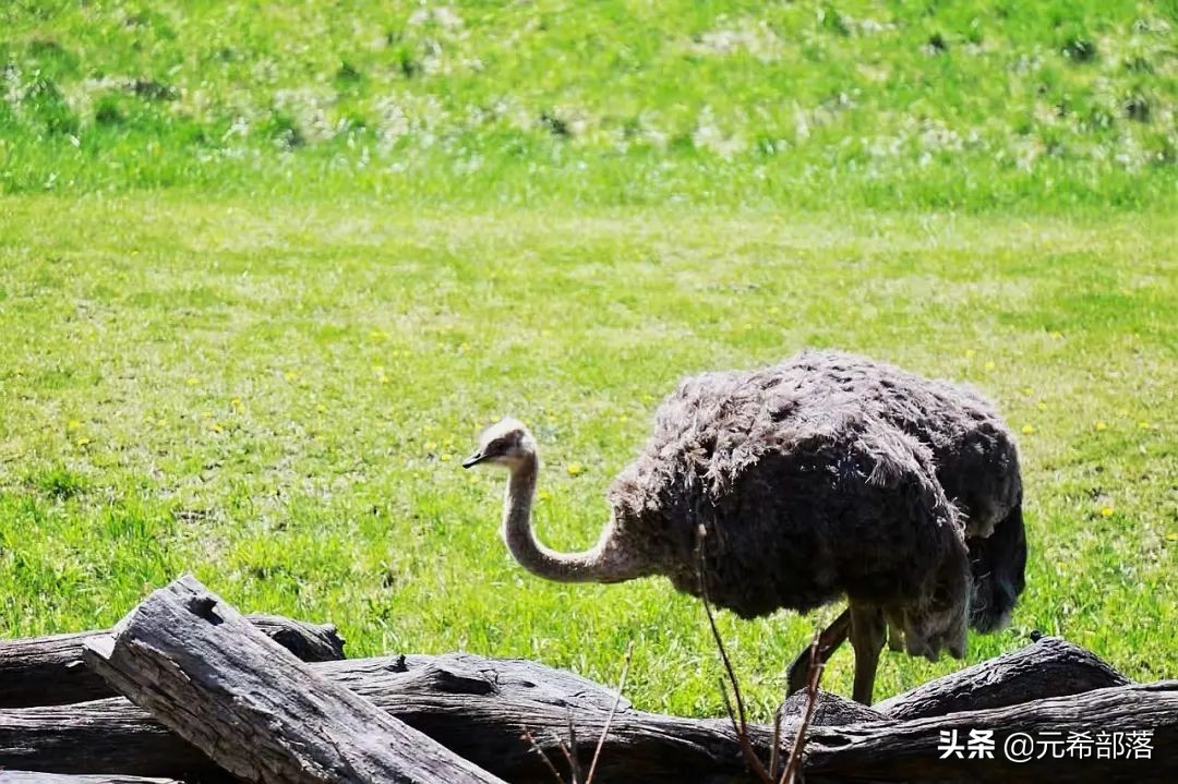 芝加哥周边小城旅游攻略,芝加哥旅游路线地图