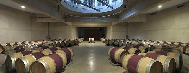 智利十大的酒庄排名榜最新,智利葡萄酒十大酒庄