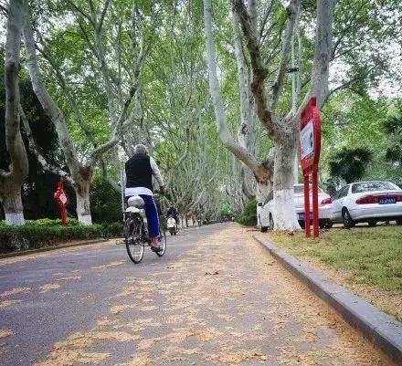 来南京必做的16件事,在南京必须知道的90个常识