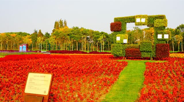 上海自然风光景区推荐,上海知名景点推荐最佳旅游攻略