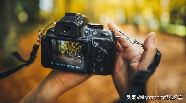 什么样的单反相机拍照好看,学习单反相机拍照技术入门