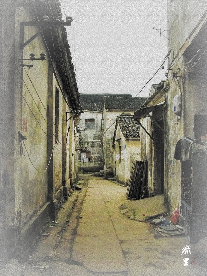 亲，江南“四里”，你集齐了吗？跟我去看看少人问津的织里吧