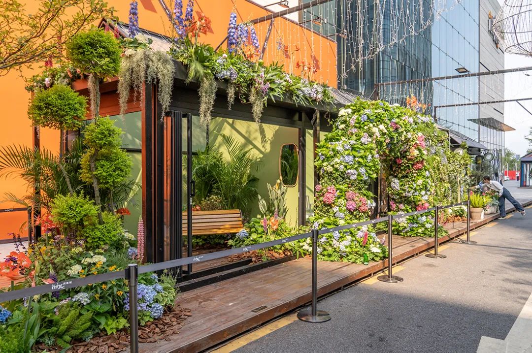 深圳花展2019年12月时间表,深圳第一场春天花展