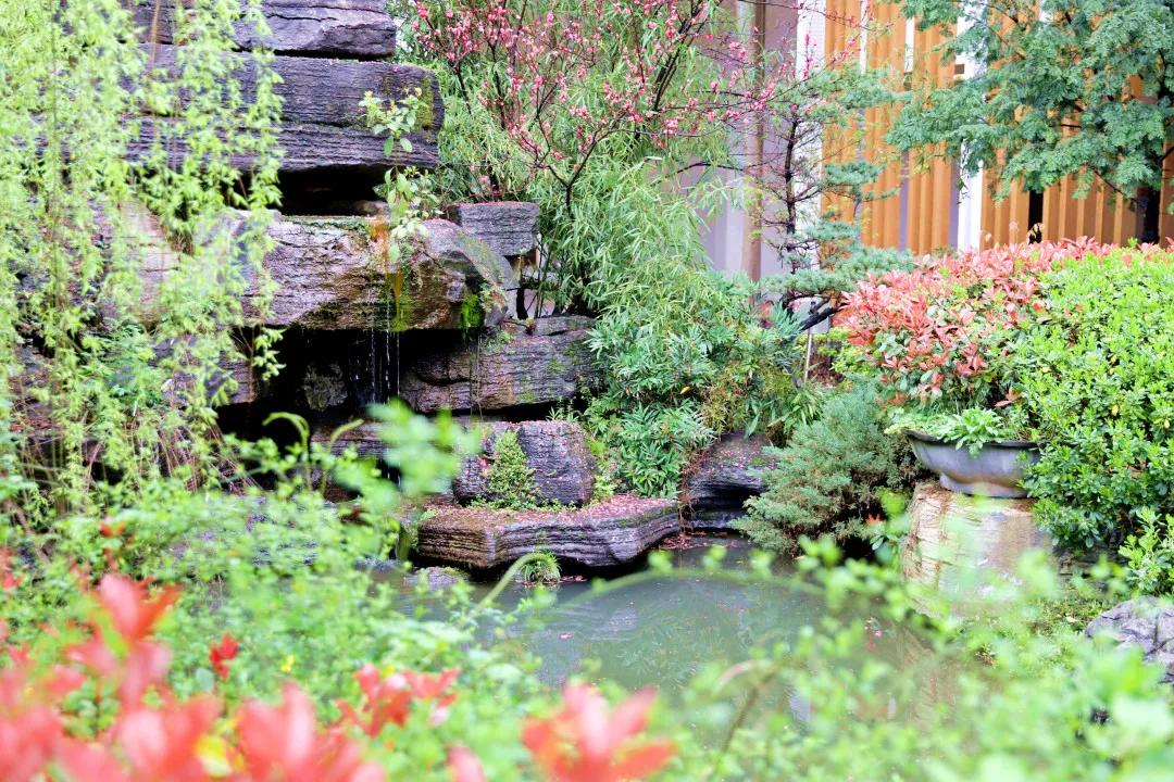 望城区的美景,望城的美景有哪些