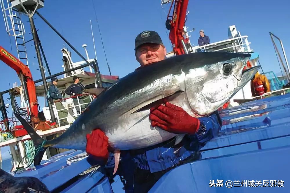 孟晚舟被保释才三天，加拿大又在美国怂恿下，偷偷使出一记阴招！