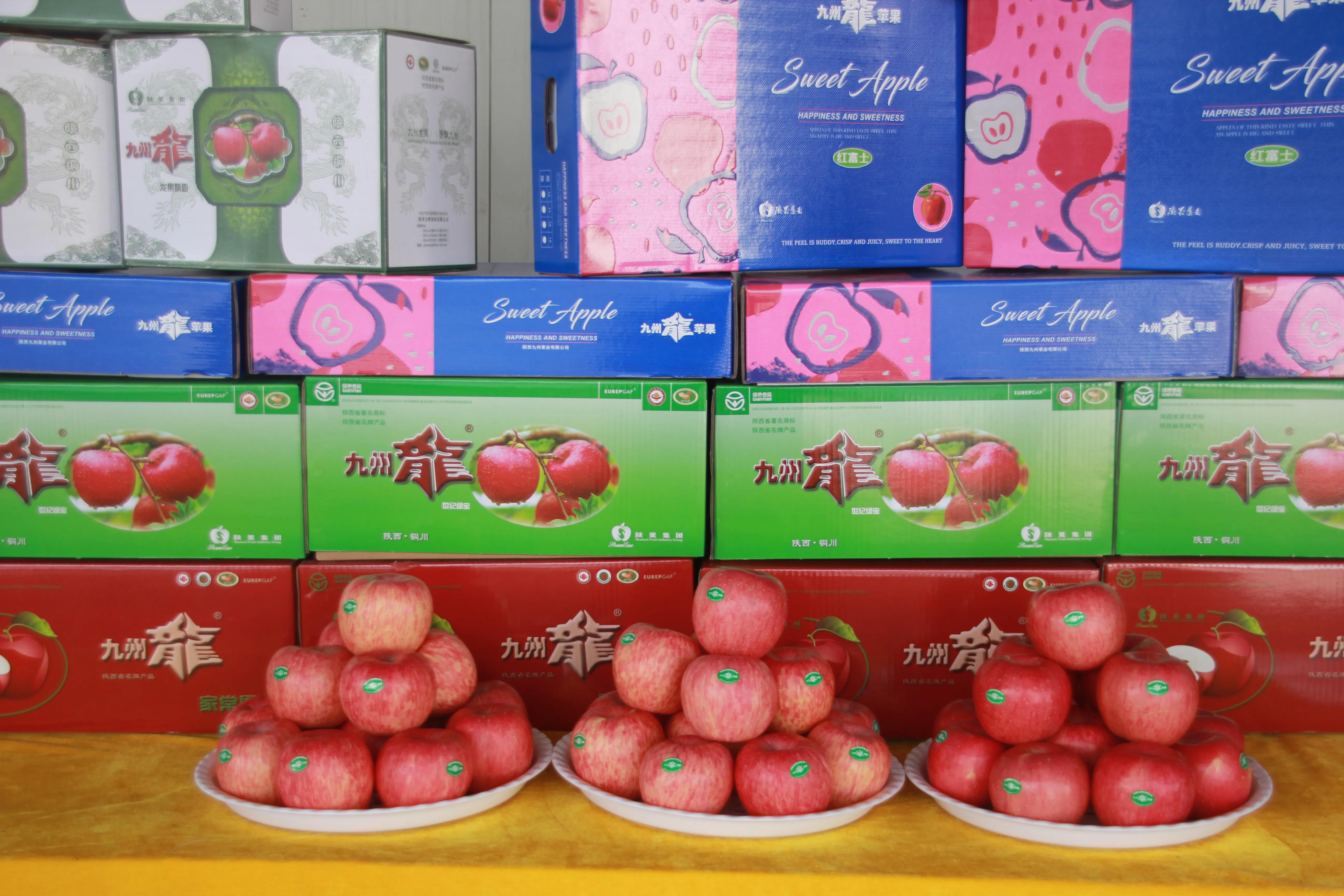 一品苹果·唯美印台，陕西果业产区行走进铜川印台区苹果优生区