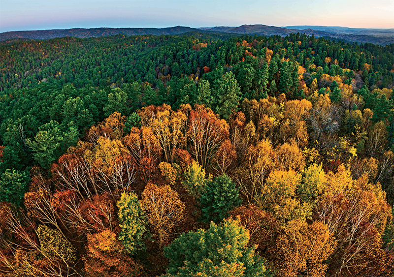 林草科学知识,林草科普类短视频