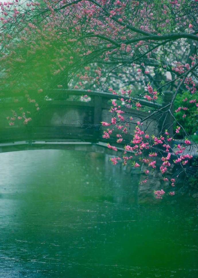 书信、酒、月亮、太阳、银河的雅称,你都听过吗?收藏学习