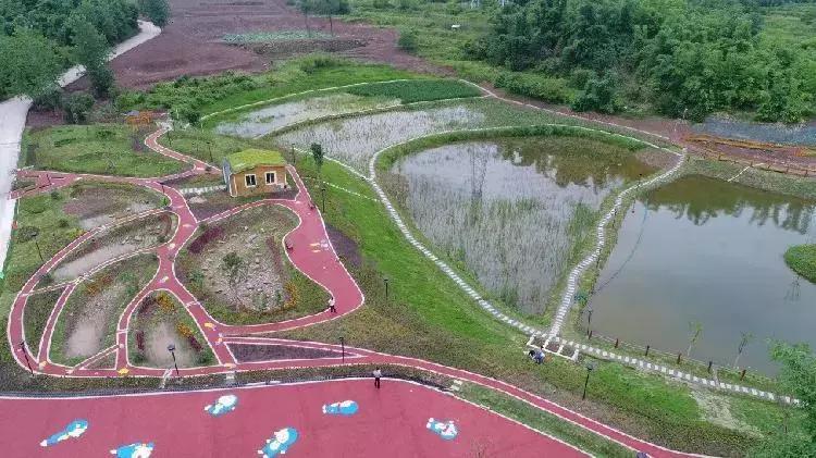 重庆悦来片区最新项目,重庆悦来新城有发展前途吗