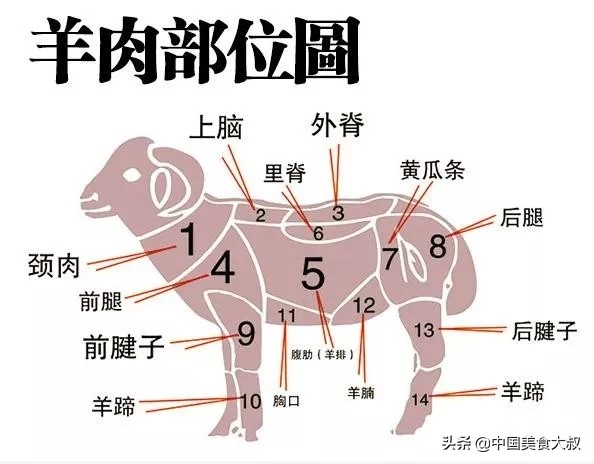 怎么辨别羊肉各个部位,一分钟教你识别正宗羊肉