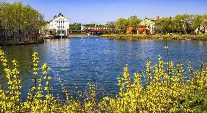 6月1日起山东免门票的景区名单,山东景区免门票政策有哪些