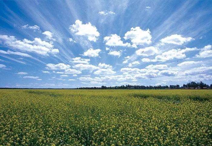 紫鑫药业董事长郭春林,郭春林紫鑫药业