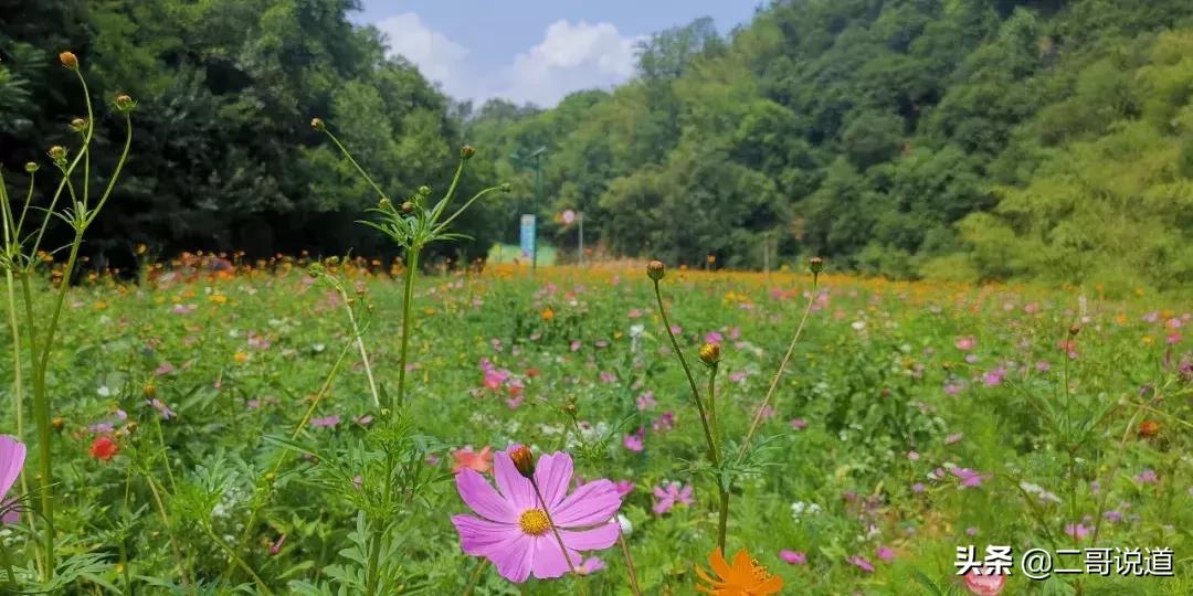 洛阳隐藏的好玩的地方,洛阳周边城市的山水景点