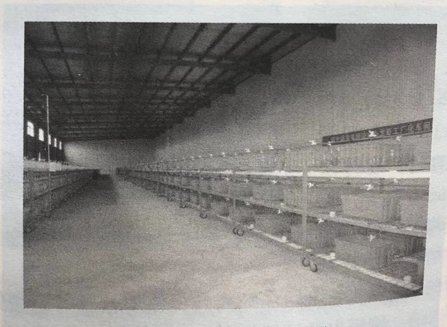 小龙虾育养分区技术要点,小龙虾养殖的高效方法