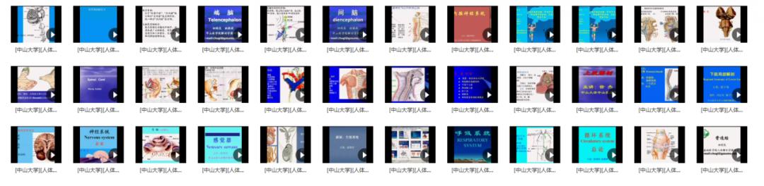 资源分享|这份对解剖学专业很有帮助的中山大学人体解剖学视频