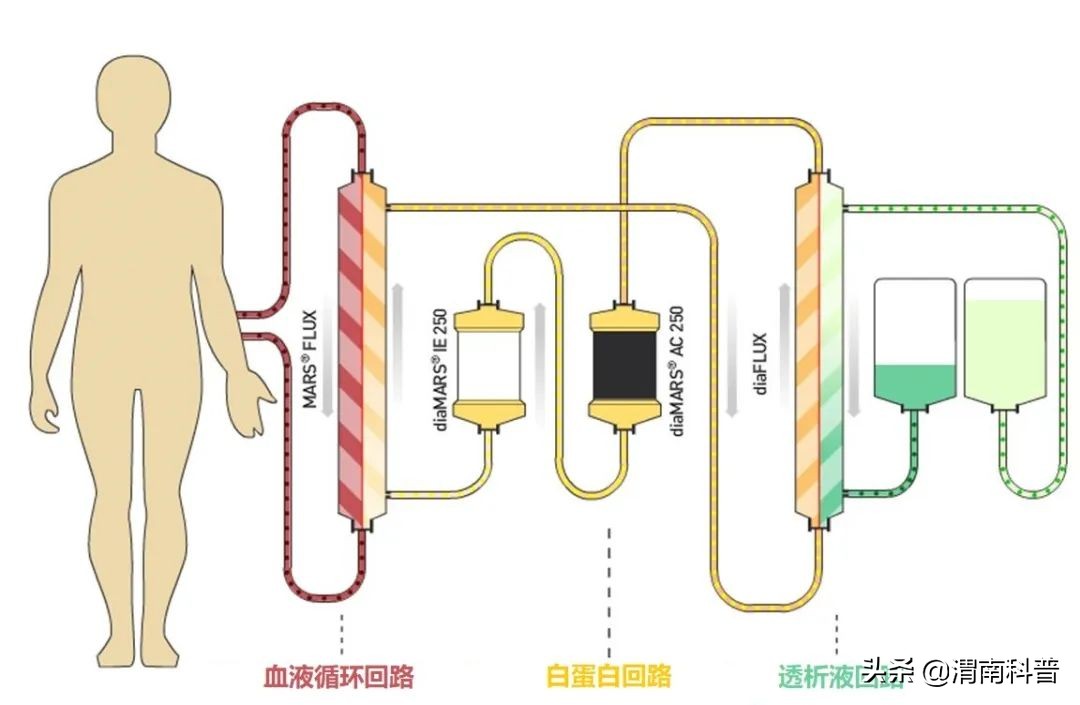 新冠肺炎救命神器,疫情期间急救神器