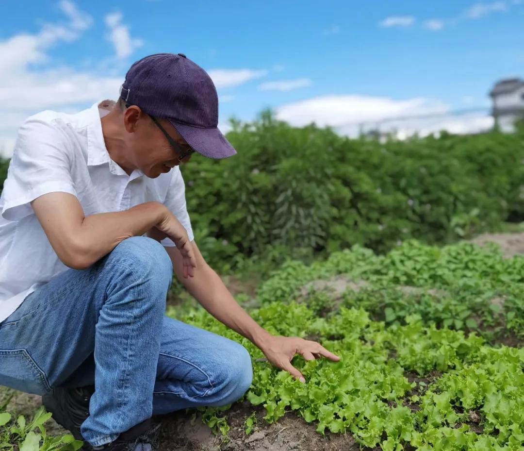 让农业回归原生态,呼唤传统农业回归