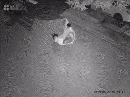 深夜暴打大连女孩被抓,吴亦凡等声援,男子*行暴**竟只是心情不好