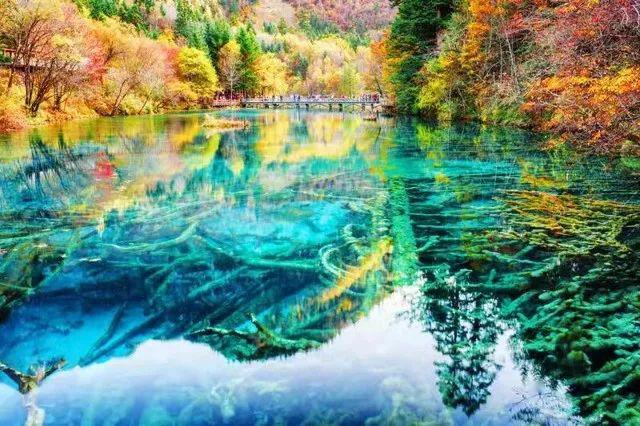 对眼睛好的显示器设置,电脑显示器眼睛保护